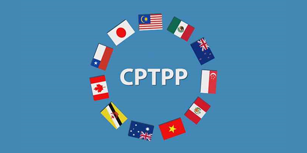 Decree No.57/2019/ND-CP import-export tax
